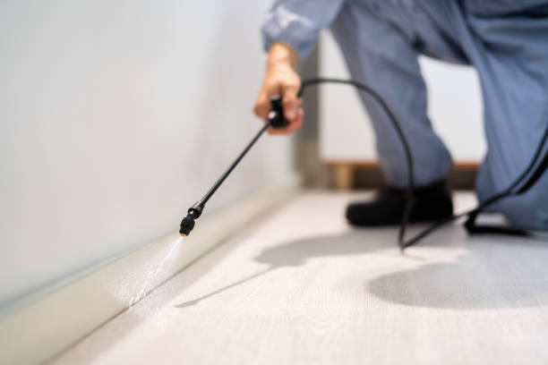 Licensed Cockroach Control service in Durand, WI - Nex Pest Control