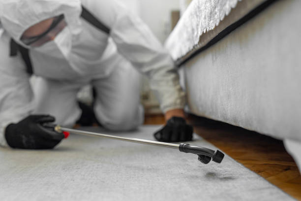 Professional Cockroach Control technician working in Durand, WI